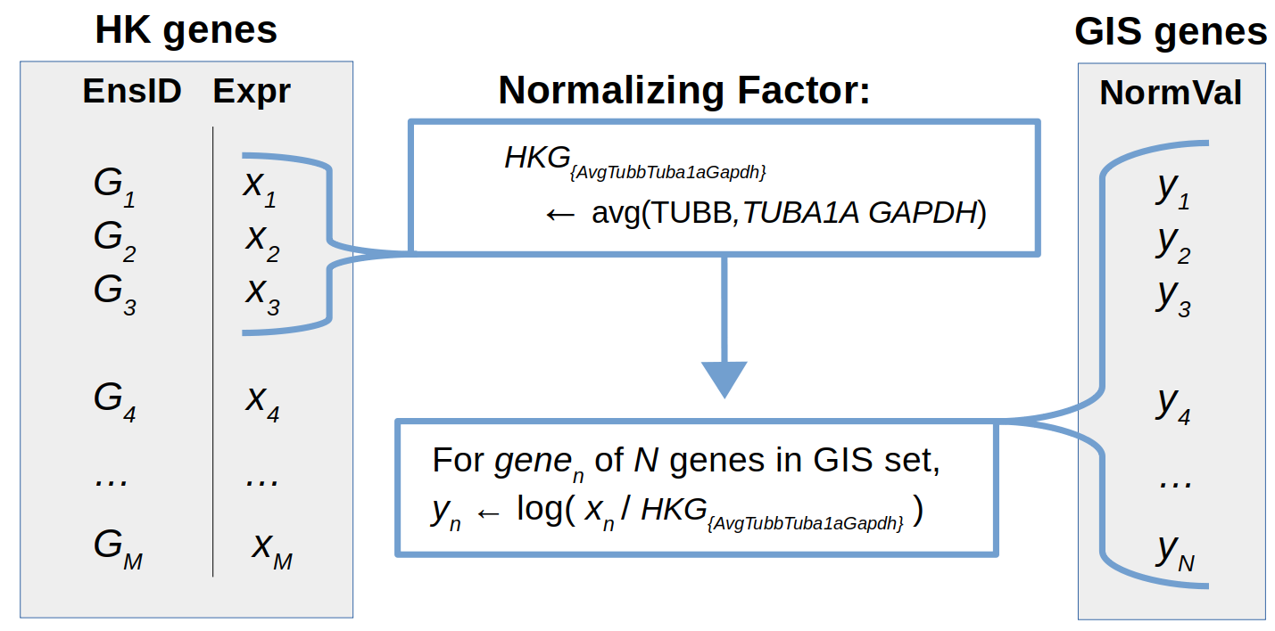 Normalizing Factors